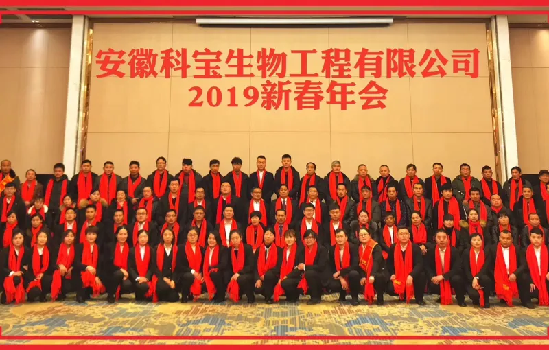 公司活动