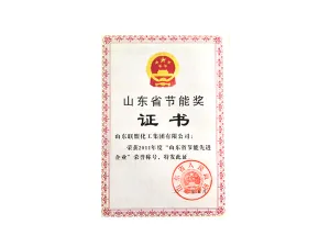 其他证书