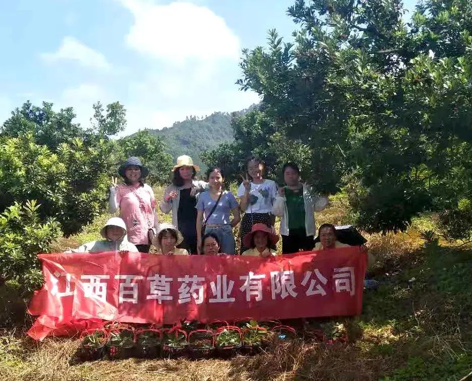 公司活动