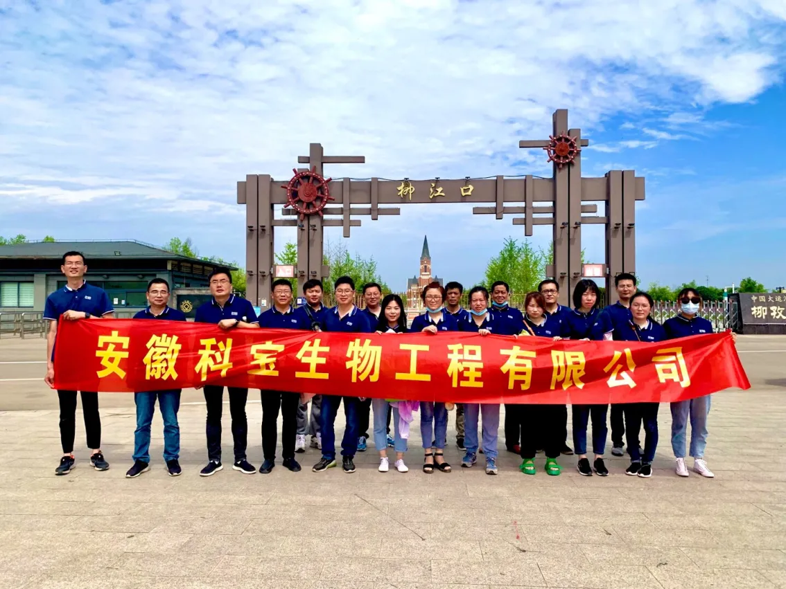 公司活动