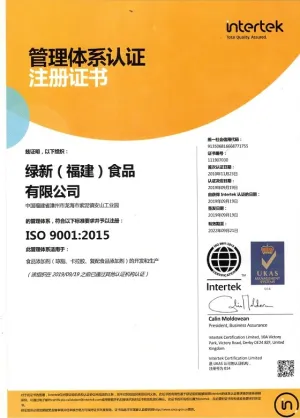 ISO9001(中文)