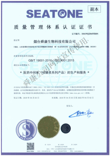 ISO9001(中文)