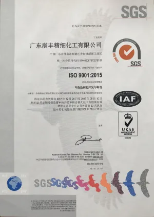 ISO9001(中文)