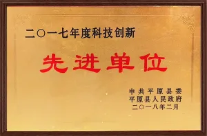 荣誉证书