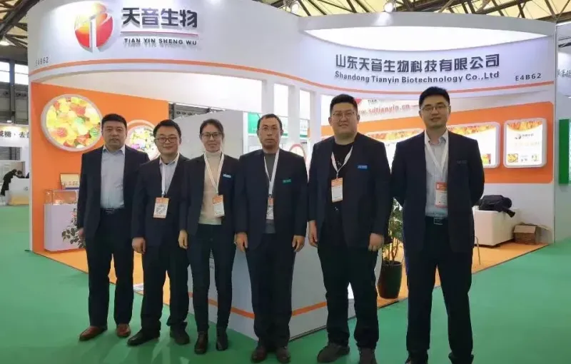 公司参展