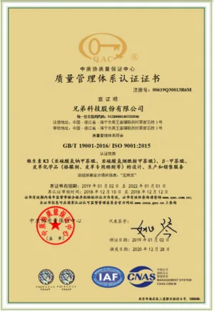 ISO9001(中文)