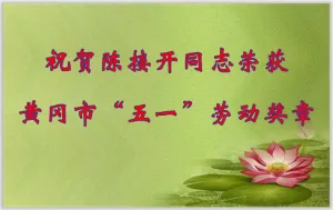 其他证书
