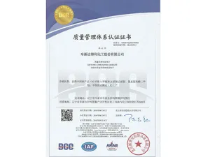 ISO9001(中文)