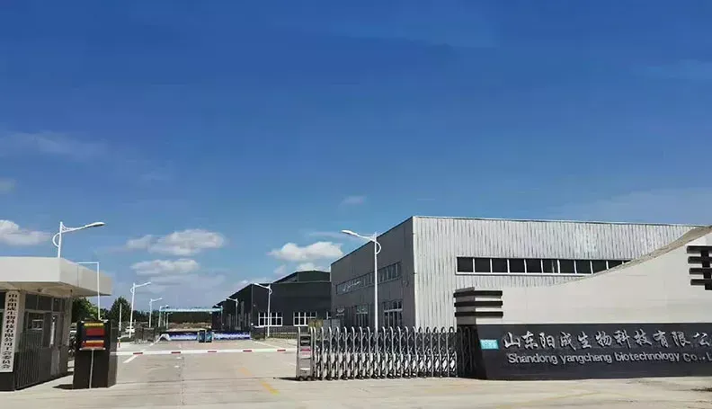 厂房大门