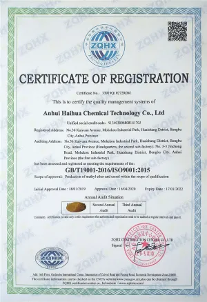 ISO9001(英文)