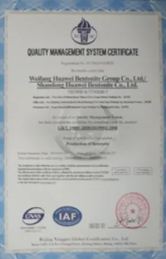ISO9001(英文)