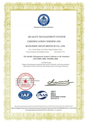 ISO9001(英文)