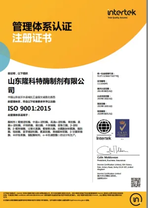 ISO9001(中文)