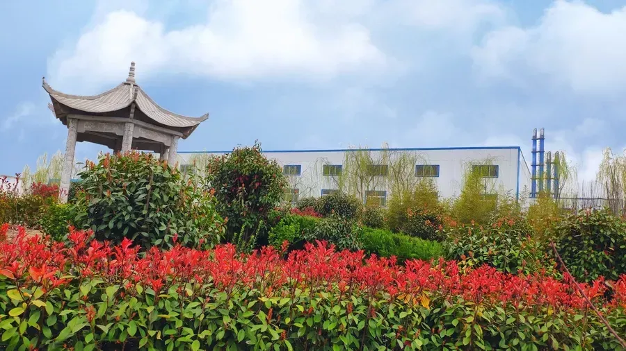 其他图片