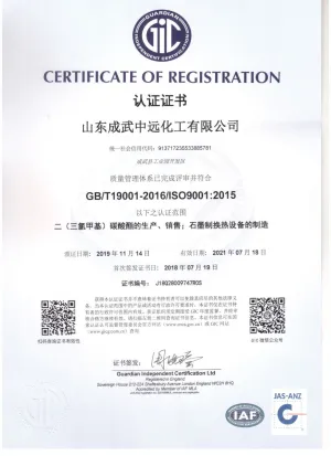 ISO9001(中文)