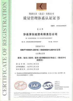 ISO9001(中文)