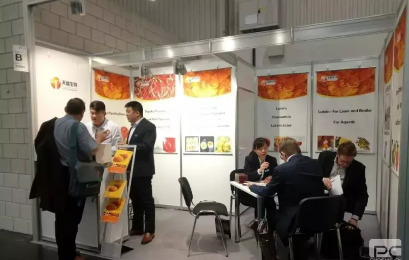 公司参展