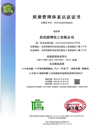 ISO9001(中文)