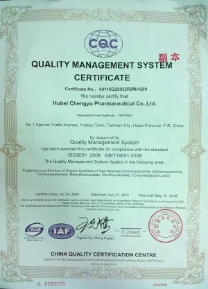 ISO9001(英文)