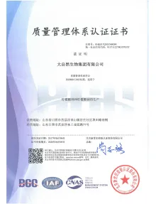 ISO9001(中文)