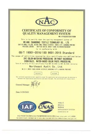ISO9001(英文)