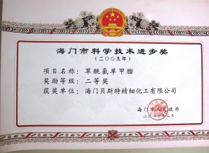 荣誉证书