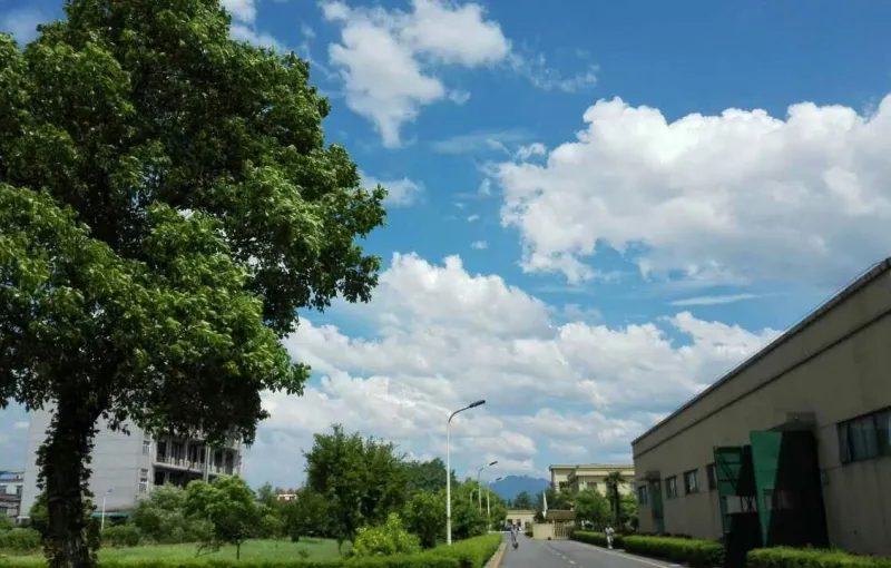 其他图片