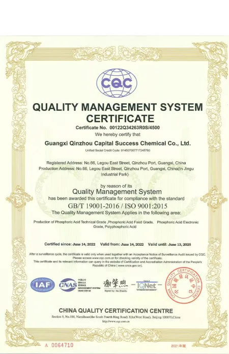 ISO9001(英文)