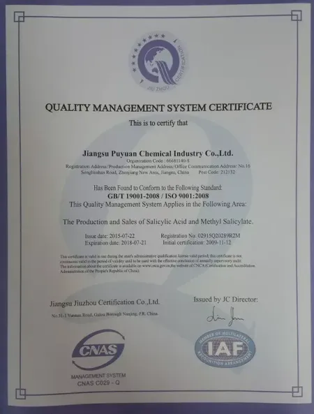 ISO9001(英文)