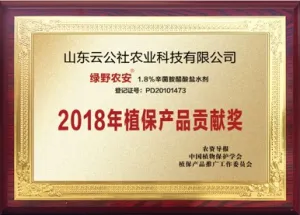 荣誉证书