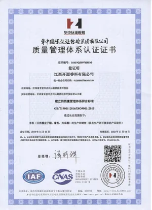ISO9001(中文)