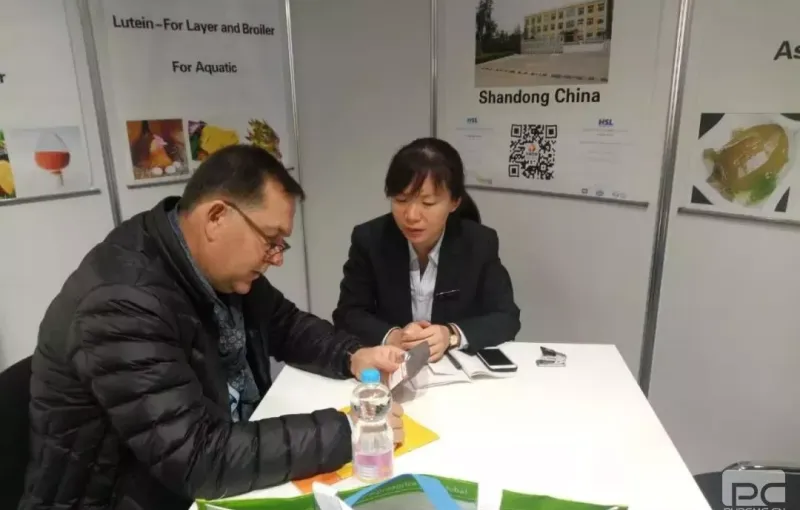 公司参展