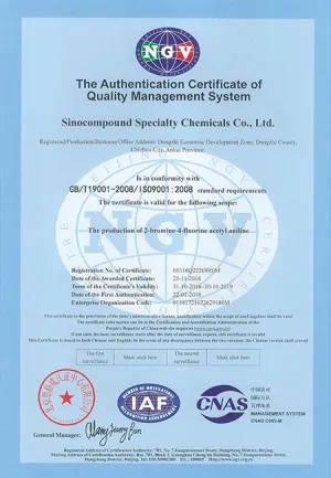 ISO9001(英文)