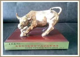 其他证书