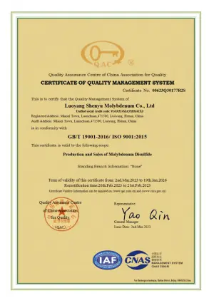 ISO9001(英文)