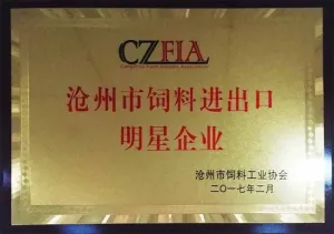 荣誉证书