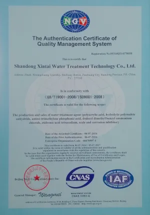 ISO9001(英文)