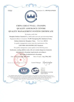 ISO9001(英文)
