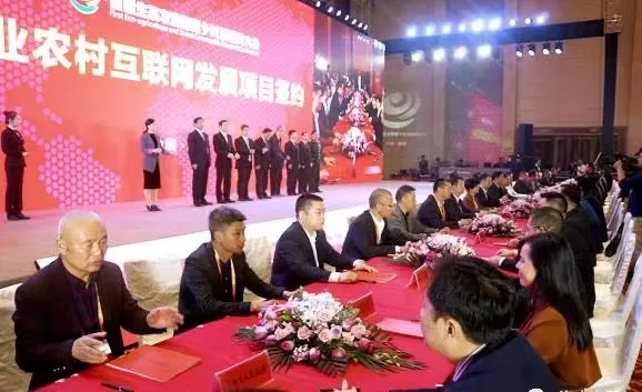 公司活动