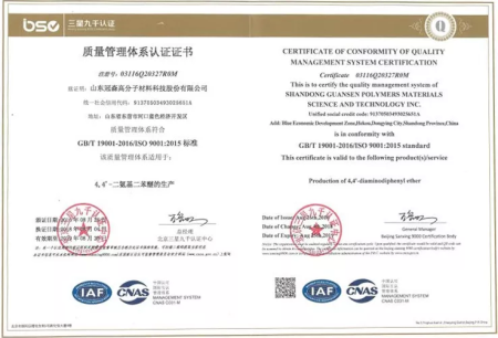 ISO9001(英文)