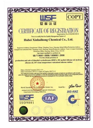 ISO9001(英文)