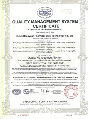 ISO9001(英文)