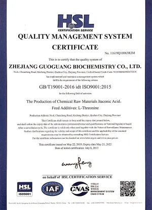 ISO9001(英文)