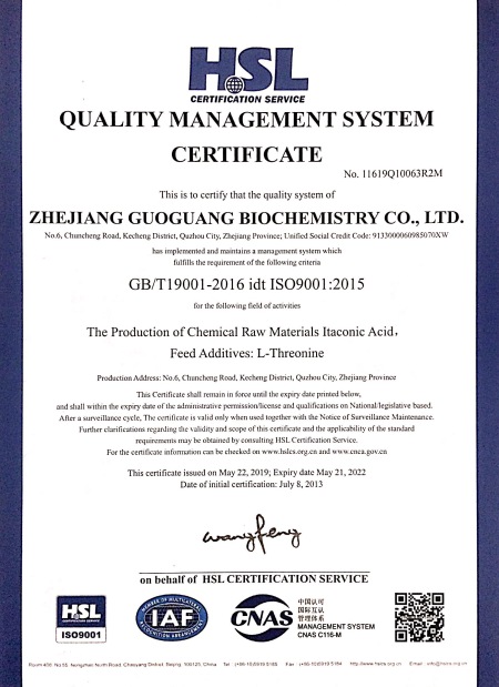ISO9001(英文)
