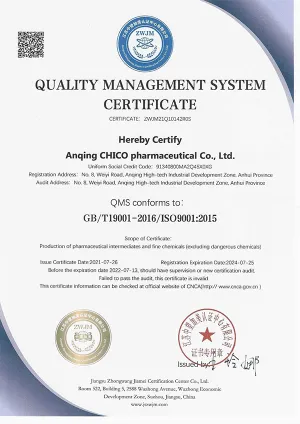ISO9001(英文)