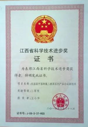 荣誉证书