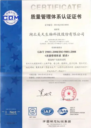 ISO9001(中文)