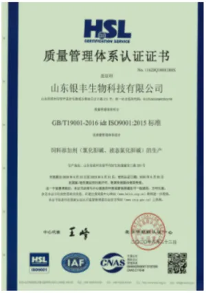 ISO9001(中文)
