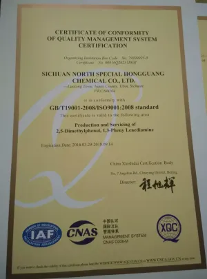 ISO9001(英文)