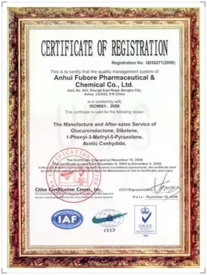 ISO9001(英文)